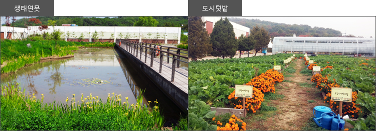 생태연못, 도시텃밭 이미지