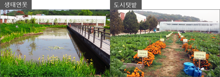 생태연못, 도시텃밭 이미지