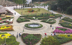 公園