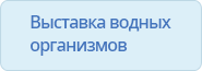 Выставка водных организмов 
